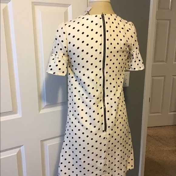 NWT Polka dot shift dress - Picture 4 of 4